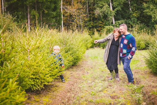 Família escolhe árvore de Natal na fazenda — Fotografia de Stock