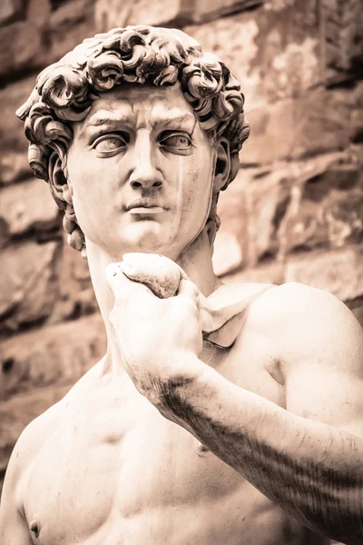 Michelangelova socha David — Stock fotografie