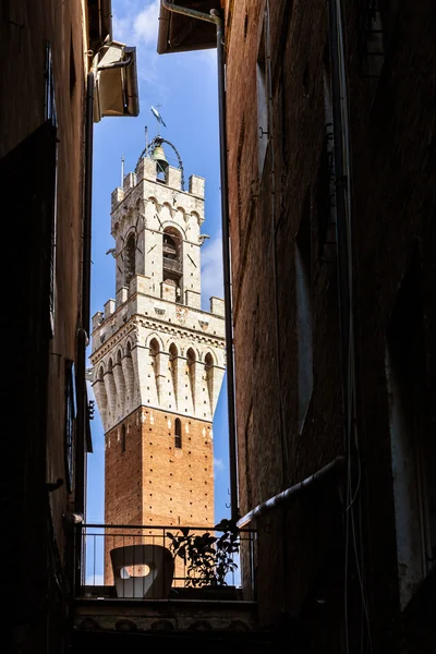 Torre del Mangia tussen oude huizen — Stockfoto