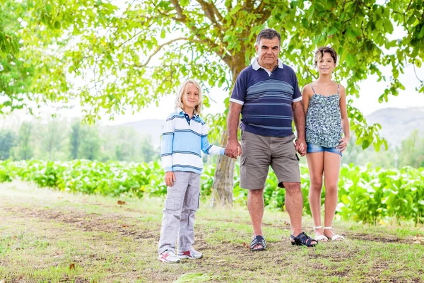 Grand-père avec petits-enfants marchant dans le parc Photos De Stock Libres De Droits