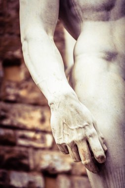 Michelangelo'nun David Hand 