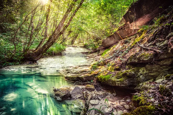 Fluxo Mágico Escondido na Floresta Profunda — Fotografia de Stock