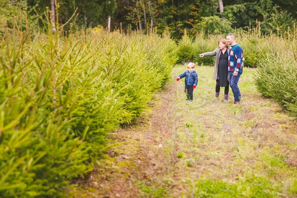 Famille Choisir un arbre de Noël à la ferme — Photo