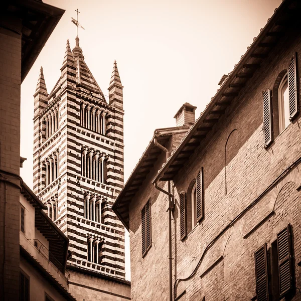 La torre della storica Cattedrale di Siena — Foto Stock