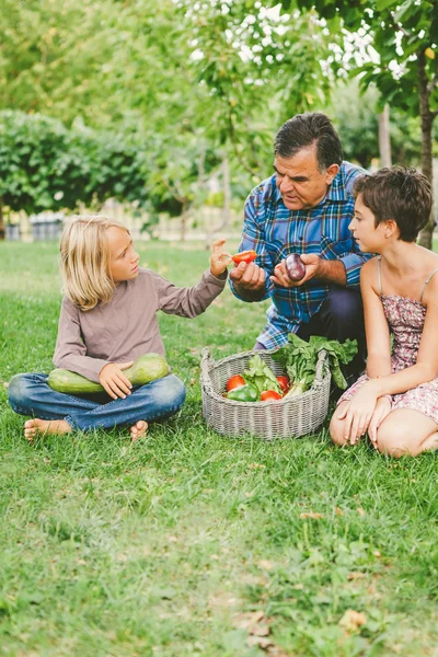 Abuelo con nietos sentado en la hierba con verduras — Foto de Stock