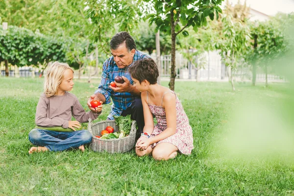 Abuelo Enseñando una alimentación saludable a los nietos — Foto de Stock