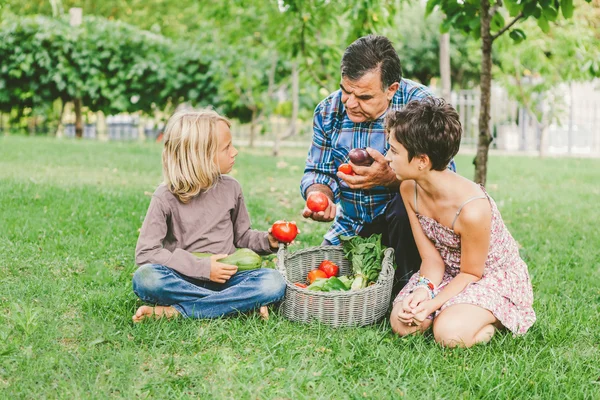 Nonno Insegnare sano Mangiare ai nipoti — Foto Stock