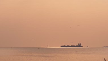 Konteynır gemisi gün batımında yelken açarken martılar etrafta uçuyor, Bang Pu kıyısı, Tayland körfezi.