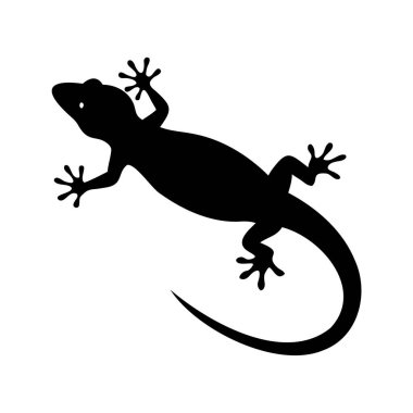 Bir gecko vektör illüstrasyonunun siyah ve beyaz silueti, bir gecko vektör illüstrasyonunun ayrıntılı siyah ve beyaz silüeti