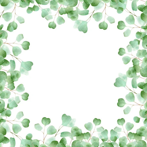 Квадратная Акварельная Рамка Листьями Эвкалипта Цветочная Граница Зеленым Растением Приглашений — стоковое фото