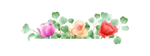 水彩旗与玫瑰 郁金香 桉树叶 花形水平框架 以绿色植物和花卉作边框说明 — 图库照片