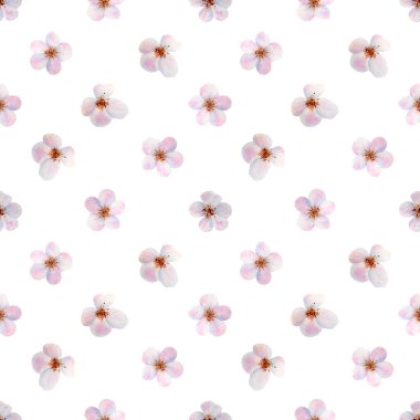 Beyaz arka planda çiçek açan çiçek desenli kusursuz çiçek deseni. Tekstil ve dekor için botanik illüstrasyon