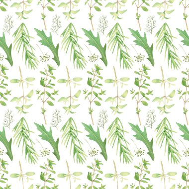 Sulu yeşil aromalı dereotu, maydanoz, roka, biberiye...