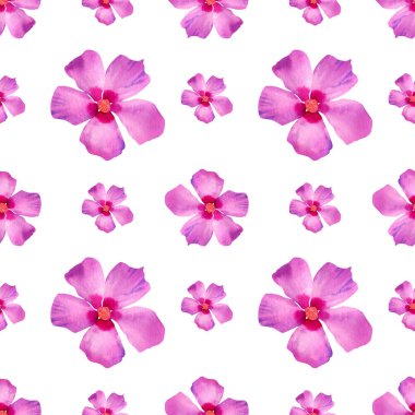 Pembe çiçek deseni. Tekstil, dekor ve kağıt için parlak yaz çiçekleriyle kusursuz suluboya desenli.