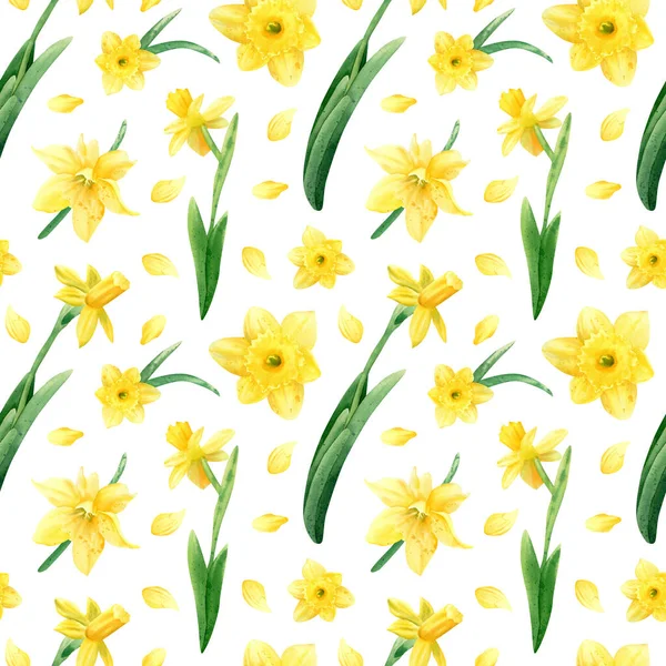 シームレスな水仙模様 黄色の春の花 花弁と葉を持つ水彩植物図 — ストック写真