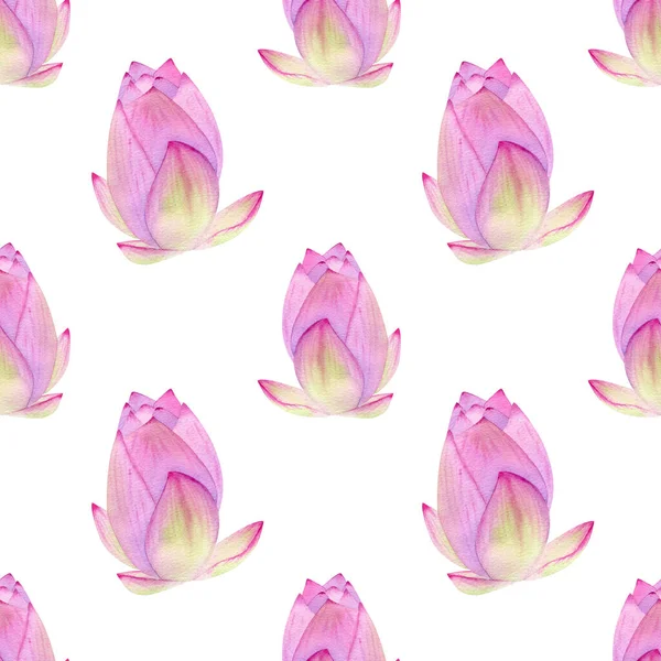 Nahtloses Blumenmuster Aquarell Botanische Illustration Mit Zartrosa Tropischer Lotusblume — Stockfoto