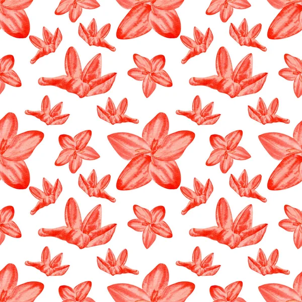 Tropical Flowers Pattern Botanical Illustration Red Bright Flowers — Stock Photo, Image