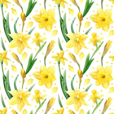 Kusursuz nergis deseni. Narcissus çiçeği, taç yaprakları ve tomurcuğun botanik resimli suluboya deseni