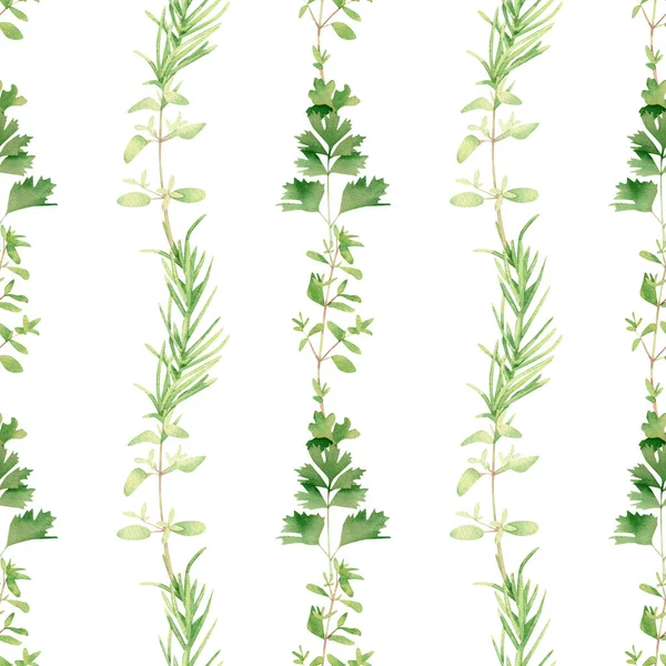 Seamless Herbal Pattern Watercolor Green Flavouring Dill Fennel Parsley Arugula — Stock Photo, Image