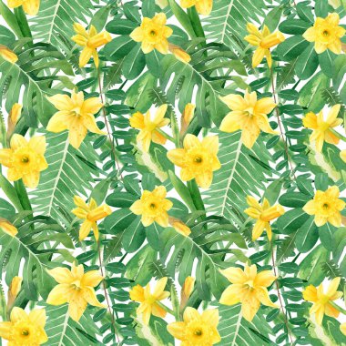 Kusursuz tropik yapraklar ve çiçek desenleri. Sarı nergis çiçekli suluboya illüstrasyon, çiçek ve tomurcuk, canavar yaprağı, akasya