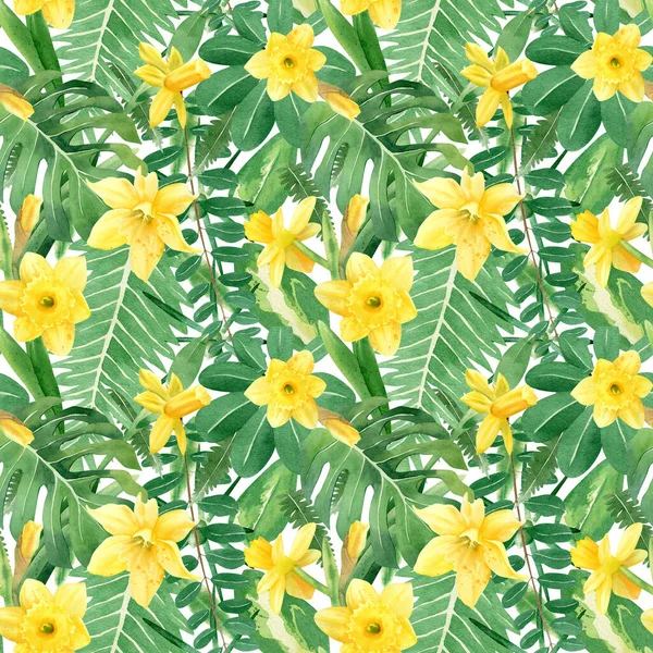 Kusursuz tropik yapraklar ve çiçek desenleri. Sarı nergis çiçekli suluboya illüstrasyon, çiçek ve tomurcuk, canavar yaprağı, akasya