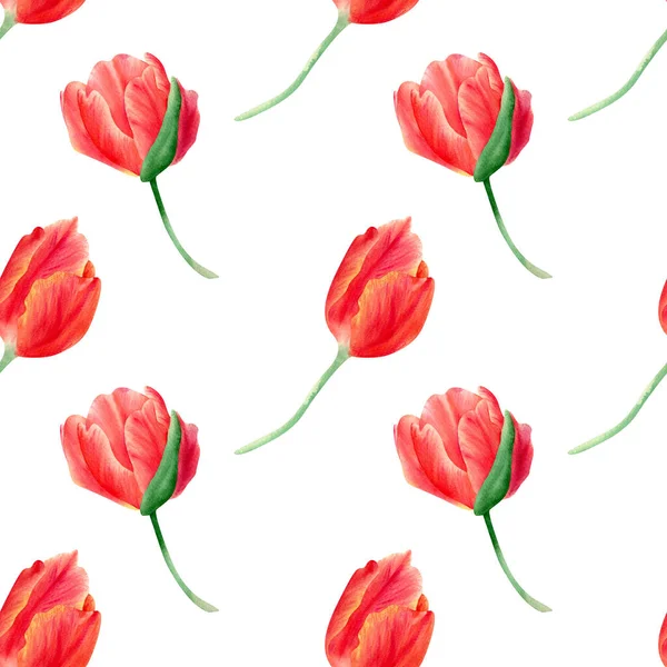 Seamless Floral Pattern Tulips Watercolor Botanical Illustration Red Orange Spring — Stok fotoğraf