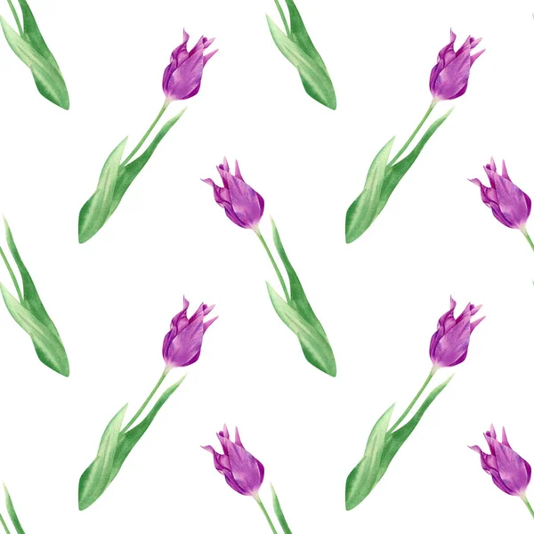 Seamless Watercolor Tulips Pattern Botanical Illustration Violet Flowers Leaves — Stock Photo, Image