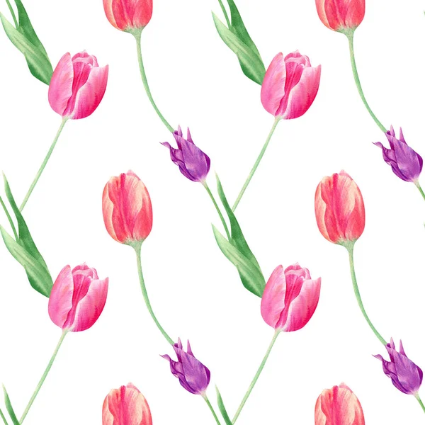 Bezešvé Květinové Vzory Botanická Ilustrace Fialovými Červenými Růžovými Tulipánovými Květy — Stock fotografie