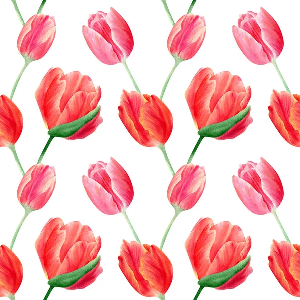 Nahtloses Tulpenmuster Botanische Illustration Mit Roten Und Rosa Frühlingsblumen — Stockfoto