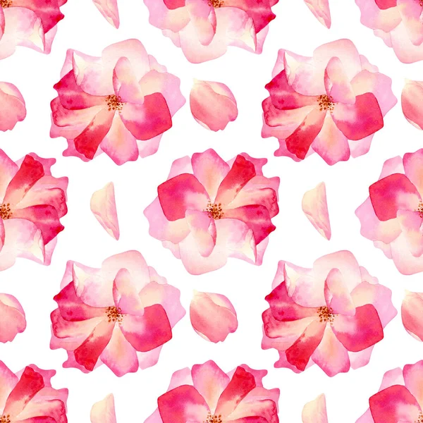 Nahtloses Aquarell Rosenmuster Floraler Hintergrund Mit Rosa Rosen Und Blütenblättern — Stockfoto
