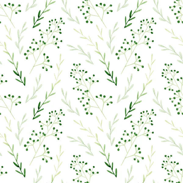 Seamless Watercolor Pattern Garden Herbs Background Green Eucalyptus Olive Leaves — Stock Photo, Image