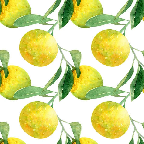 オレンジの果実とシームレスなパターン 夏のジューシーな果物 葉や枝を持つ水彩の背景 — ストック写真