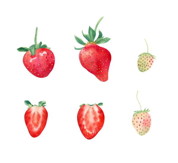 Watercolor Strawberry Set Red Ripe Strawberries Green Berry Sliced Sweet — Stockfoto