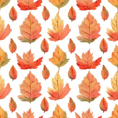 Kusursuz akçaağaç deseni bırakır. Şükran Günü dekorasyonu ve tekstil için kırmızı, kahverengi, yeşil, sarı sonbahar yapraklı suluboya arkaplan 