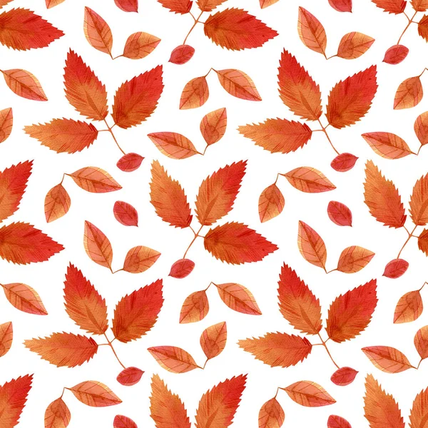 Seamless Fall Leaves Pattern Warm Background Watercolor Leaves Red Brown — Stock Photo, Image