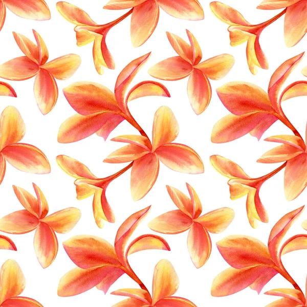 Seamless Plumeria Flowers Pattern Watercolor Background Bright Tropical Flowers Warm — Stock Photo, Image