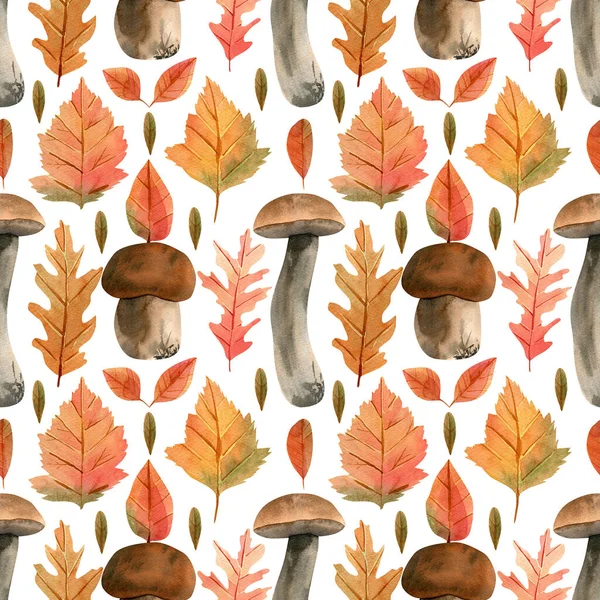 Kusursuz seps deseni. Boletus edulis mantarlı suluboya arka plan, fal portakal, kırmızı, yeşil, sarı meşe yaprakları, akçaağaç, sonbahar dekoru için huş ağacı, şükran günü tekstili