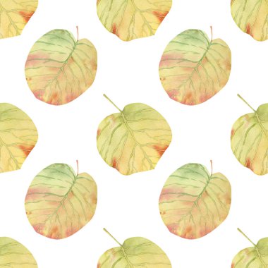 Kusursuz düşüş izleri. Sonbahar huş yaprakları ile suluboya arkaplan sarı, turuncu, yeşil, tekstil için kırmızı renkler, duvar kağıtları