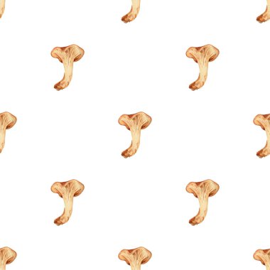 Chanterelle mantar arka planı. Örtü, duvar kâğıdı, ambalaj, ev dekorasyonu için turuncu yenilebilir mantarların botanik resimleriyle kusursuz suluboya deseni.