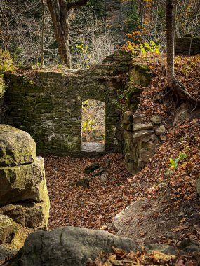 Düşen sonbahar yapraklarıyla çevrili sessiz bir ormanda tek bir kapı durağı bulunan tarihi taş kalıntıları. Kasvetli orman sahnesi doğayla tarihi harmanlıyor..