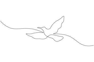 Kuş çifti minimalist ana hatlı vektör illüstrasyonunu çizmeye devam ediyor