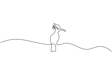 Kuş çifti minimalist ana hatlı vektör illüstrasyonunu çizmeye devam ediyor