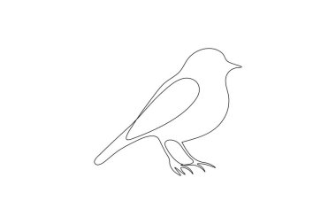 Kuş çifti minimalist ana hatlı vektör illüstrasyonunu çizmeye devam ediyor