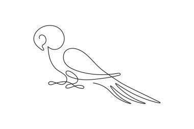 Kuş çifti minimalist ana hatlı vektör illüstrasyonunu çizmeye devam ediyor