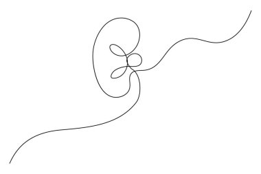 Beyaz arkaplana minimalist medikal simge çizen mide sürekli bir çizgi