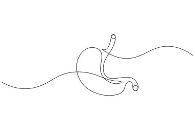 Beyaz arkaplana minimalist medikal simge çizen mide sürekli bir çizgi