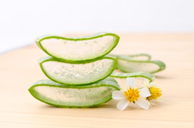 taze aloe vera yaprağı.