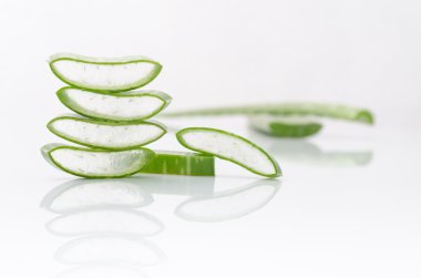 taze aloe vera yaprağı.