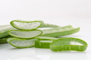 taze aloe vera yaprağı.