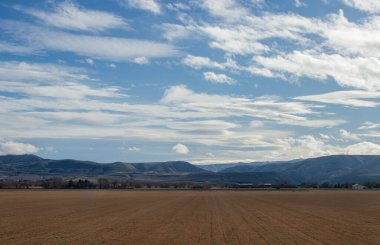 Güneşli bir günde güzel bir sonbahar manzarası, büyük yarısı beyaz bulutlu mavi gökyüzü, kar kaplı mavi dağlar, ağaçlar, ufuktaki evler, ön plandaki sarı tarlalar tarafından işgal edilir.